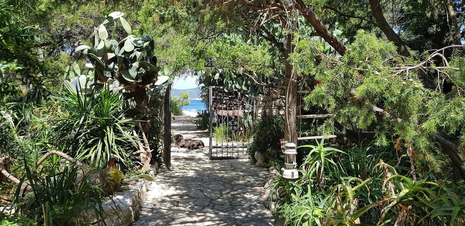 The Fisherman's House